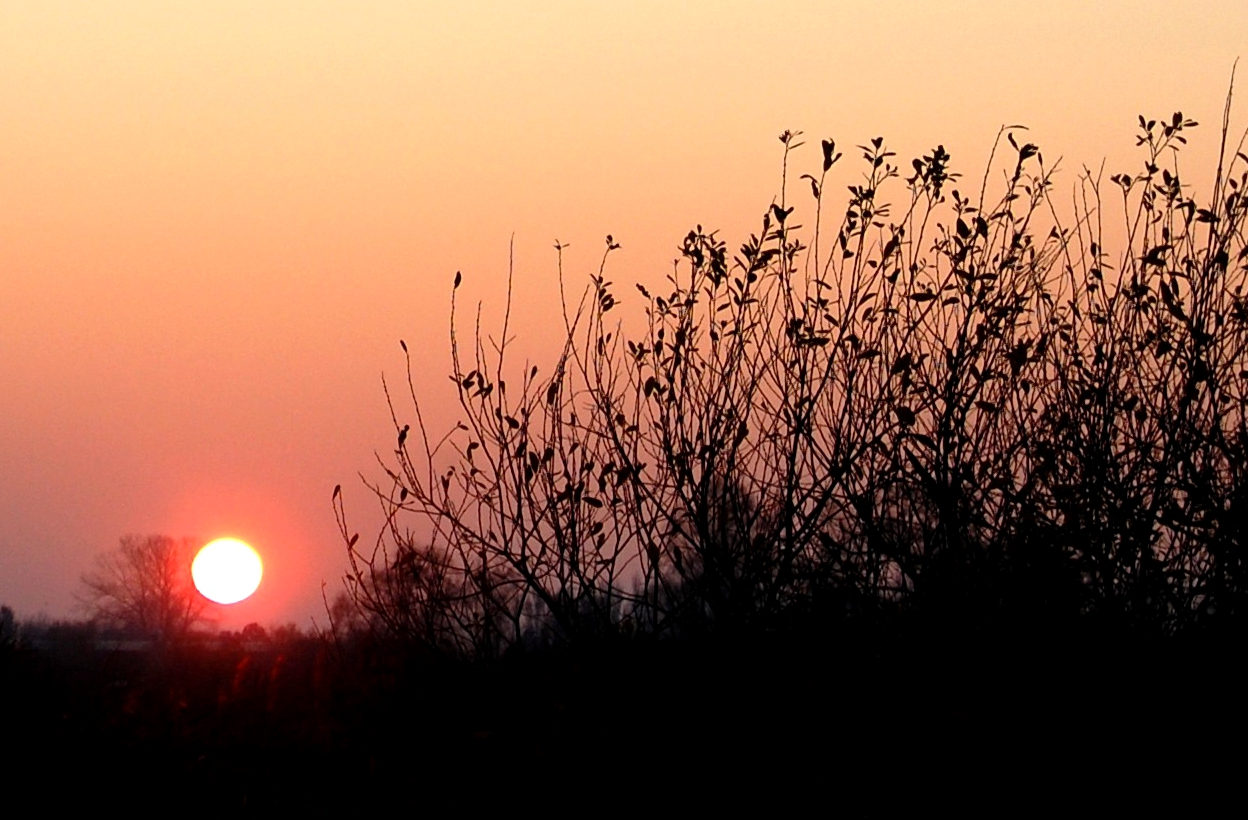 Sonnenuntergang im November