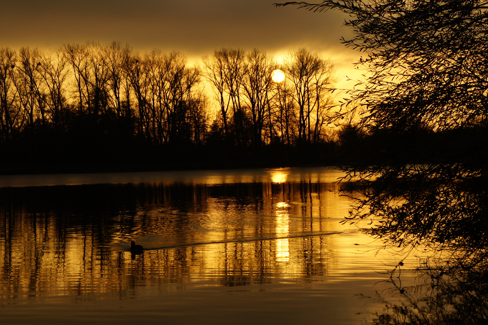 Sonnenuntergang im November