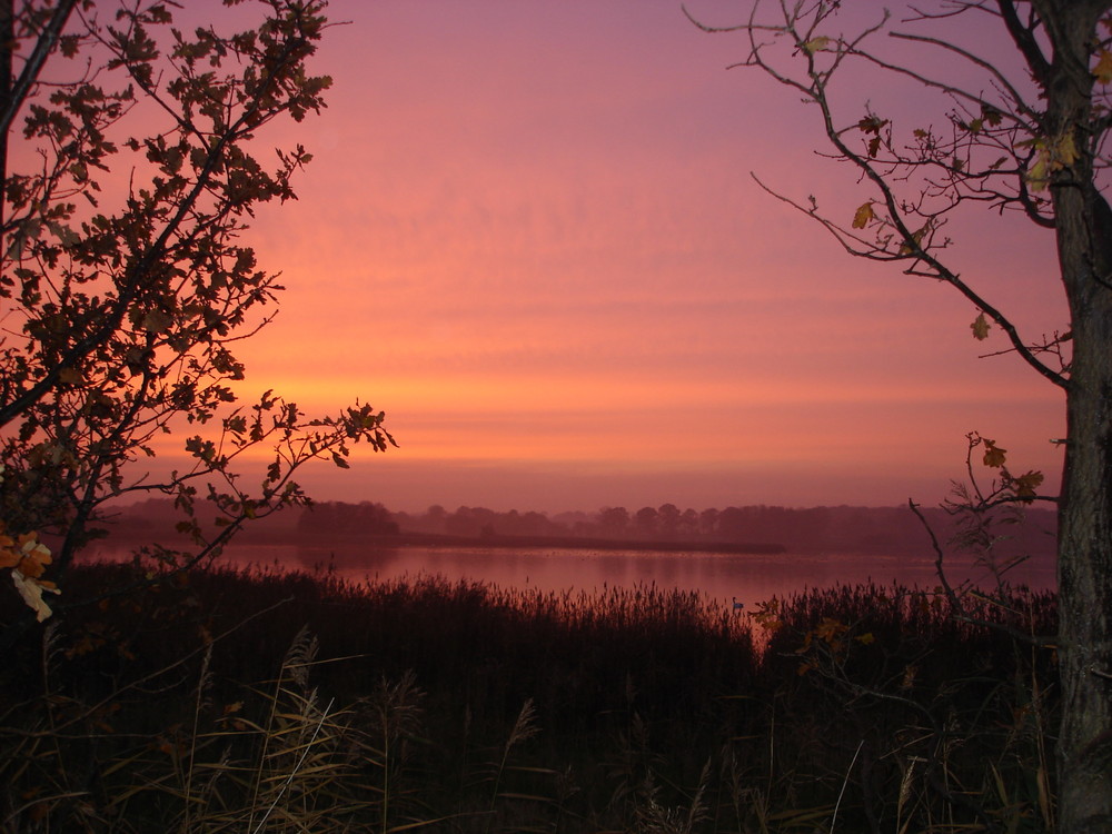 Sonnenuntergang im November2008 auf Rügen