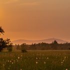 Sonnenuntergang im Oberharz 