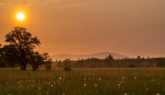 Sonnenuntergang im Oberharz 