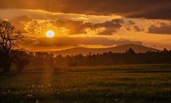 Sonnenuntergang im Oberharz 