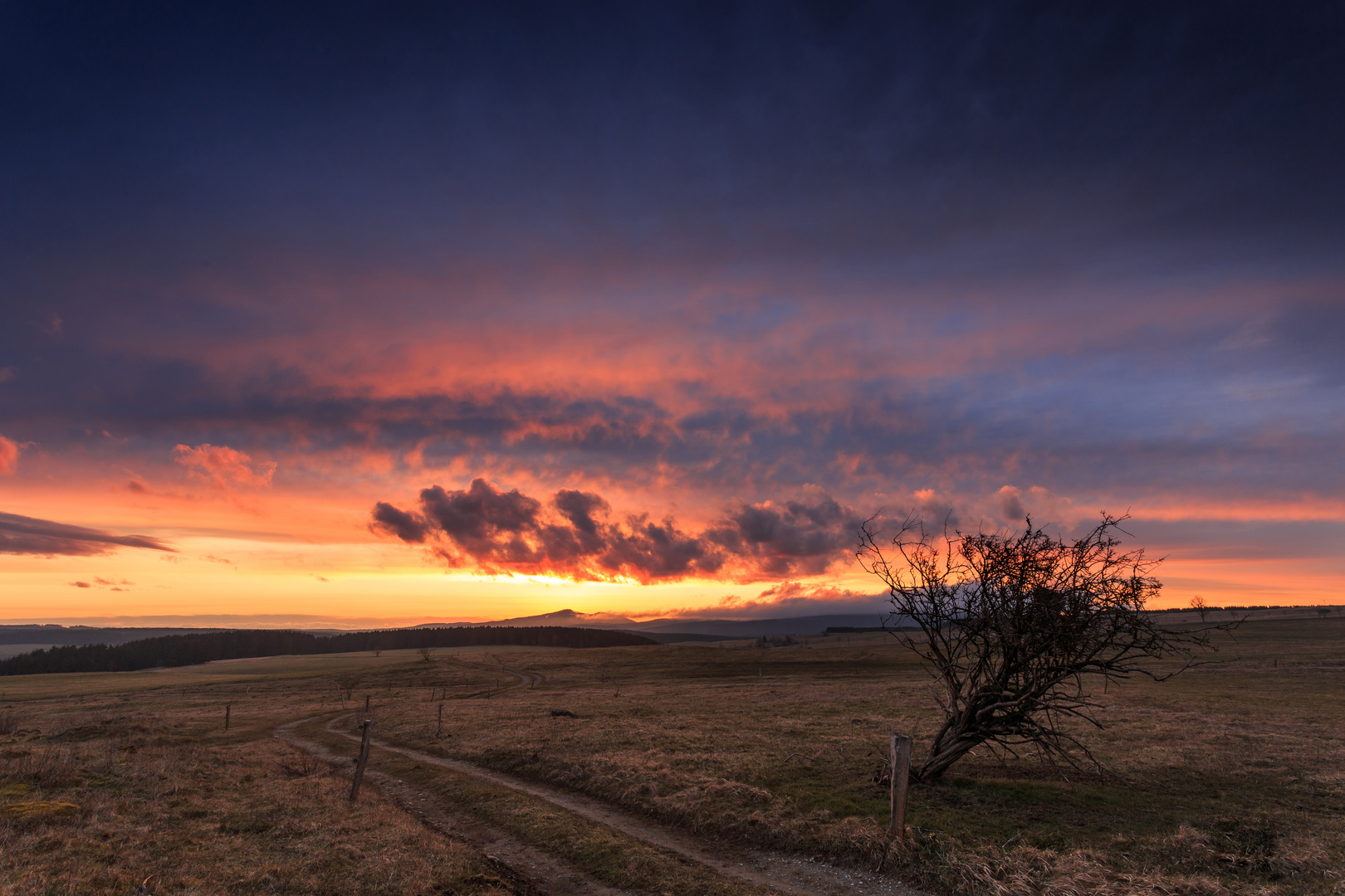 Sonnenuntergang im Oberharz