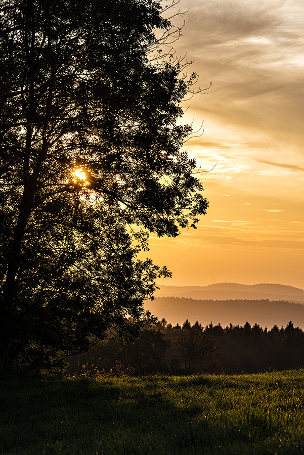 Sonnenuntergang im Odenwald