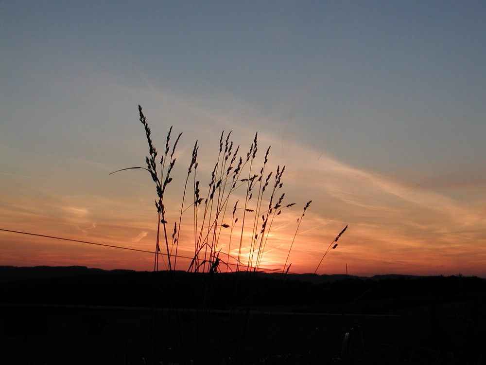 Sonnenuntergang im Odenwald