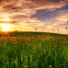 Sonnenuntergang im Odenwald