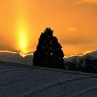 Sonnenuntergang im Odenwald