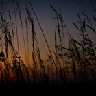 Sonnenuntergang im Odenwald