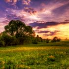 Sonnenuntergang im Odenwald II