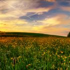 Sonnenuntergang im Odenwald III