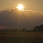 Sonnenuntergang im Oderbruch