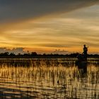 Sonnenuntergang im Okavango Delta