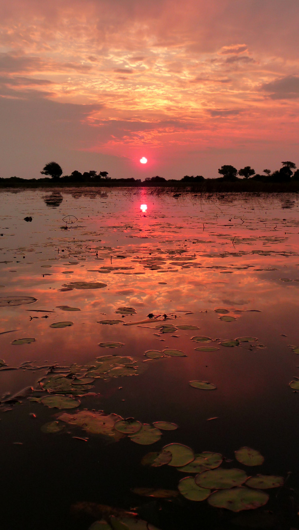 Sonnenuntergang im Okavango Delta