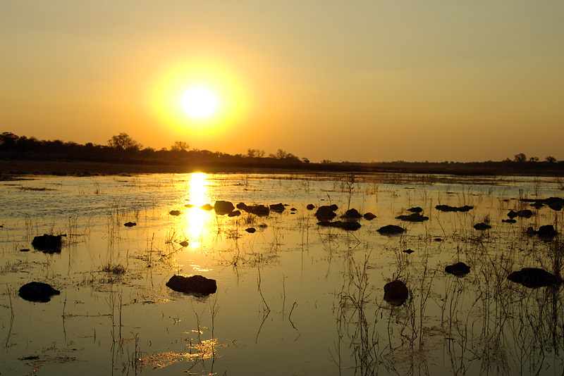 Sonnenuntergang im Okavango Delta