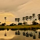 Sonnenuntergang im Okavango Delta