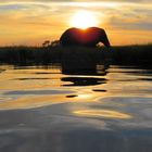 Sonnenuntergang im Okavango Delta