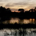 Sonnenuntergang im Okavangodelta Botswana