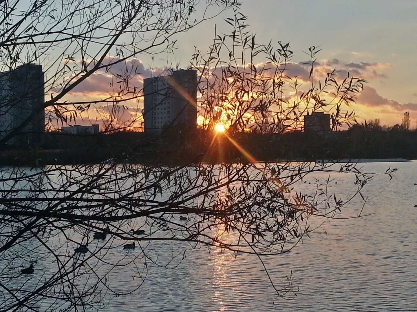 Sonnenuntergang im Oktober 2013