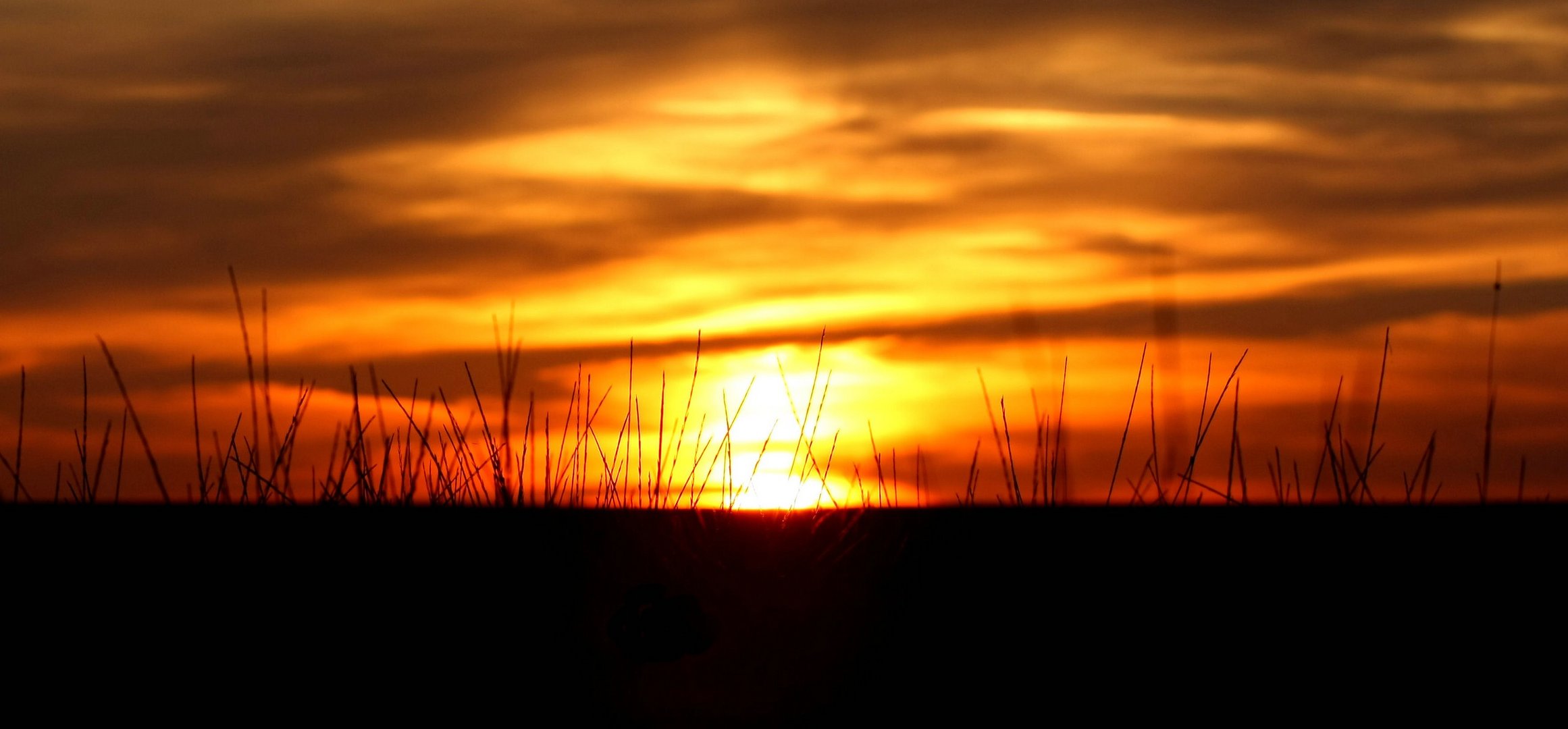 Sonnenuntergang im Oktober