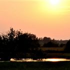 Sonnenuntergang im Oppenweher Moor ...