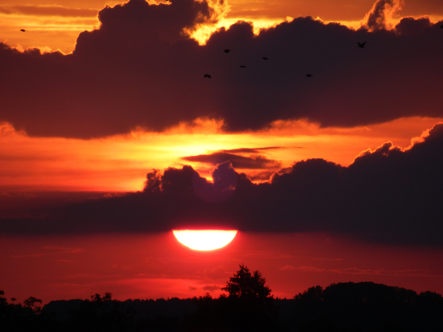 Sonnenuntergang im Ostallgäu