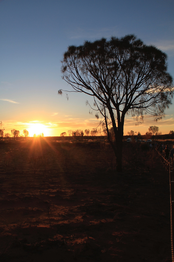 Sonnenuntergang im Outback