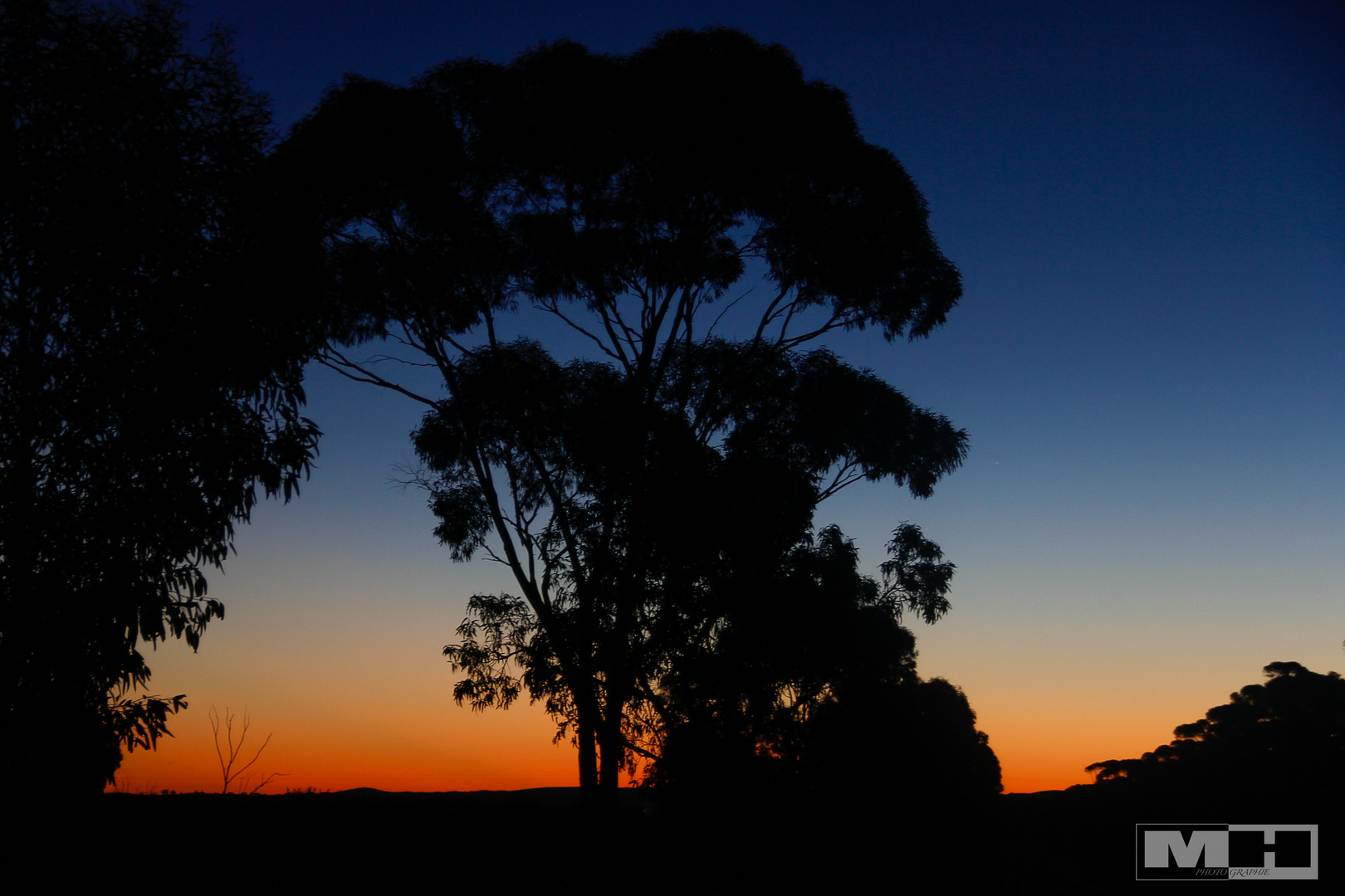 Sonnenuntergang im Outback