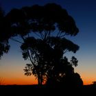 Sonnenuntergang im Outback