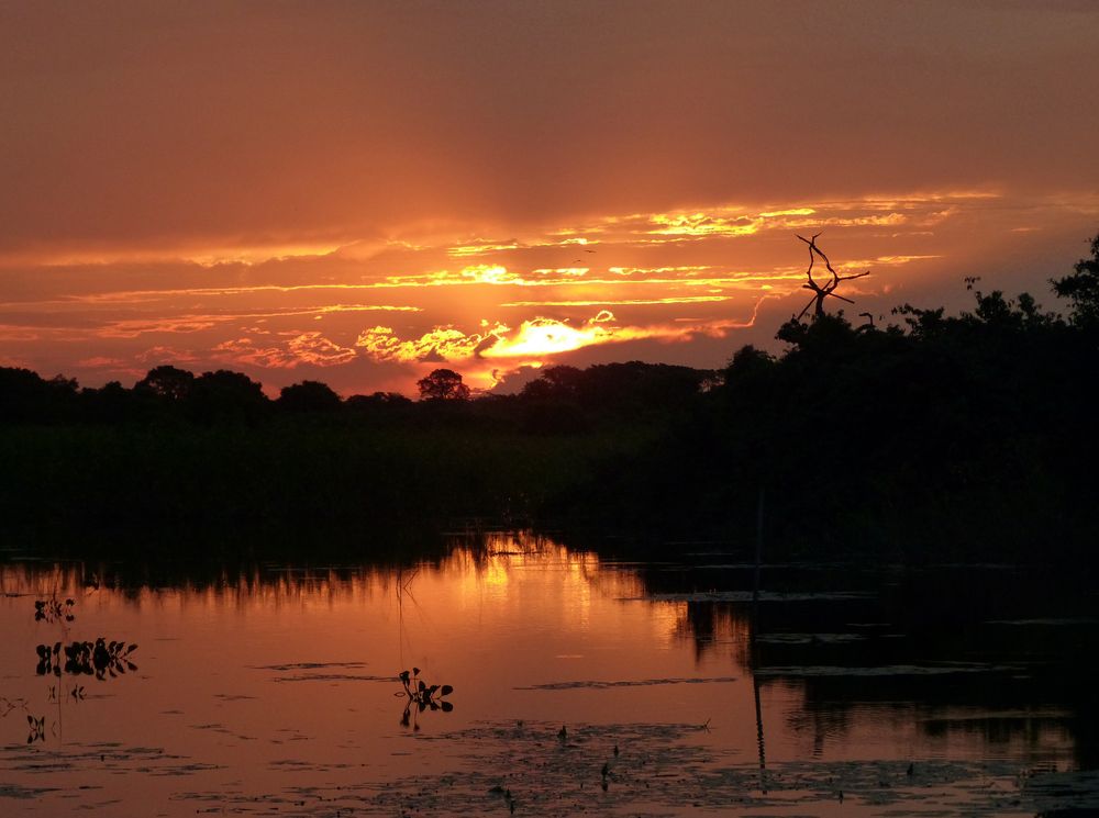 Sonnenuntergang im Pantanal