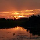 Sonnenuntergang im Pantanal