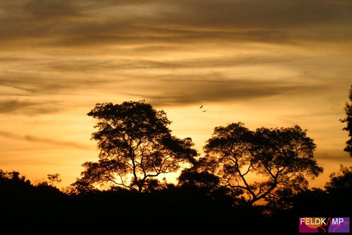 Sonnenuntergang im Pantanal