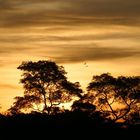 Sonnenuntergang im Pantanal