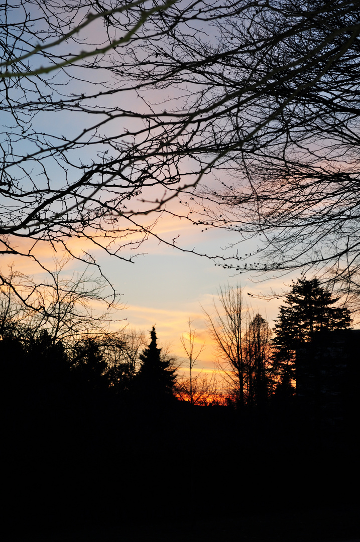 Sonnenuntergang im Park