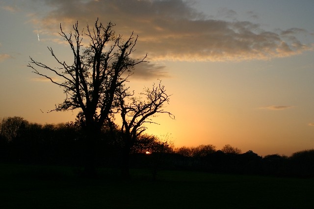 Sonnenuntergang im Park