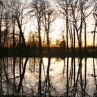 Sonnenuntergang im Park