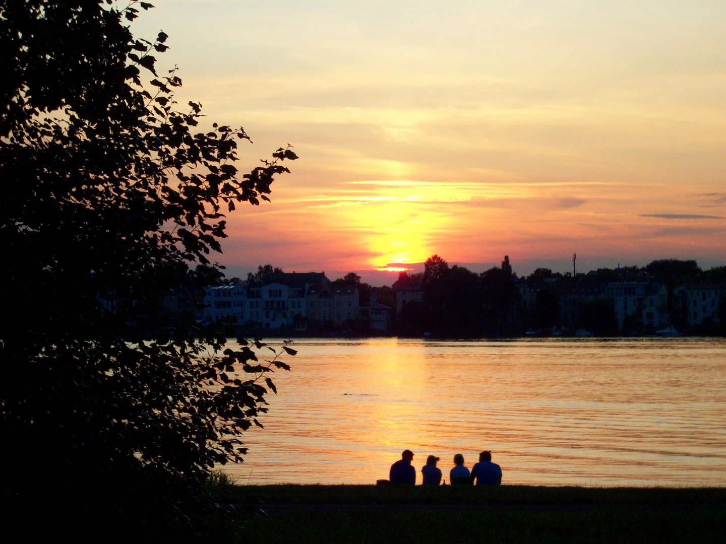 Sonnenuntergang im Park