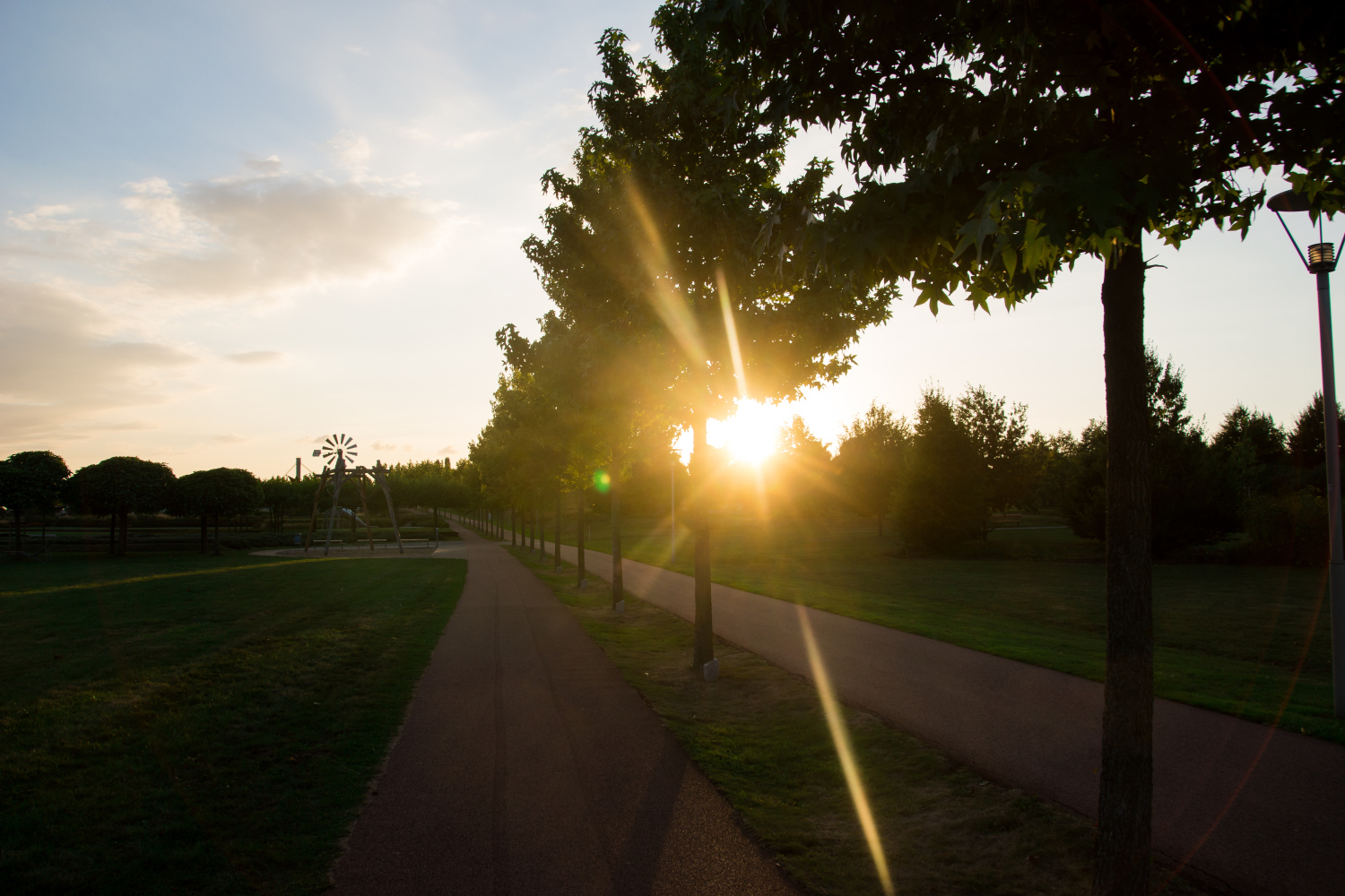 Sonnenuntergang im Park