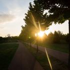 Sonnenuntergang im Park