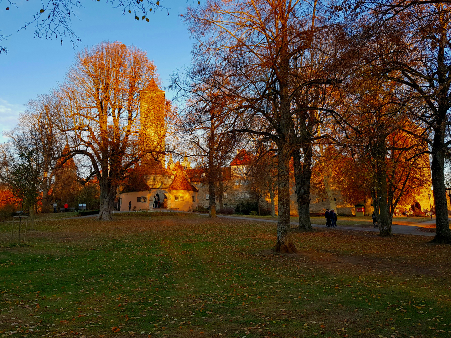 "Sonnenuntergang im Park"