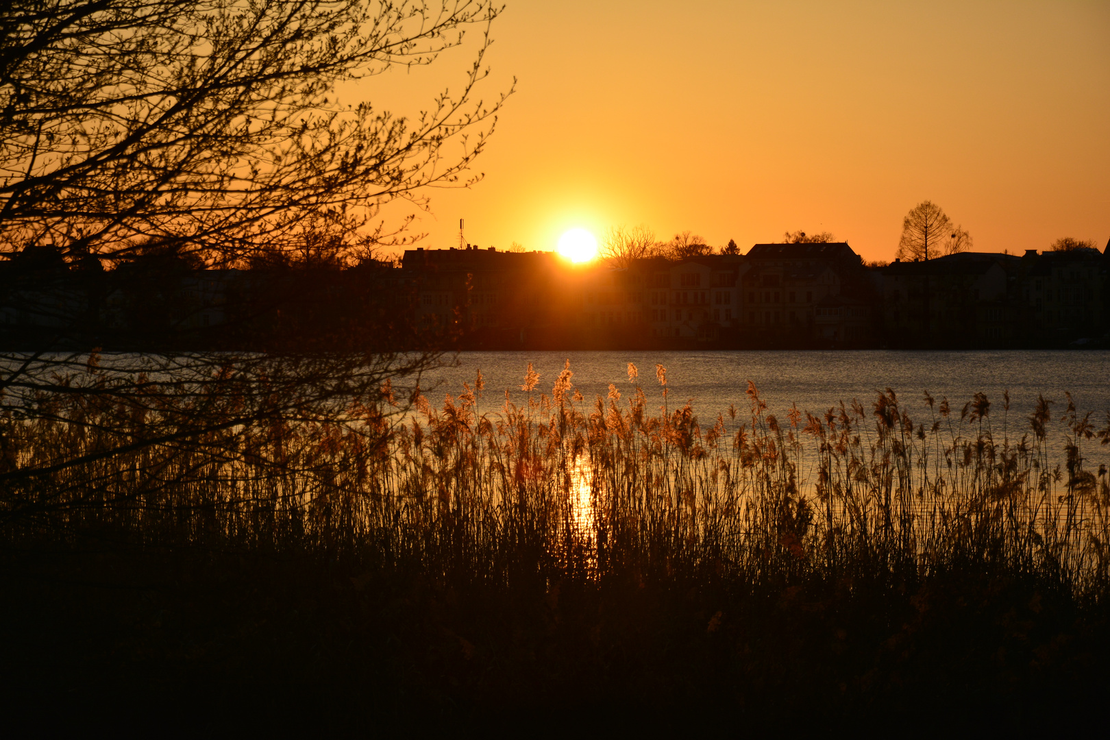 Sonnenuntergang im Park Babelsberg