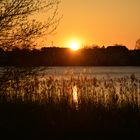 Sonnenuntergang im Park Babelsberg