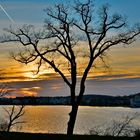 Sonnenuntergang im Park Babelsberg