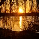 Sonnenuntergang im Park Babelsberg