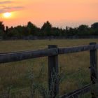 Sonnenuntergang im Park