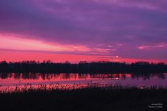 Sonnenuntergang im Peenetal