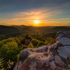 Sonnenuntergang im Pfälzer Wald