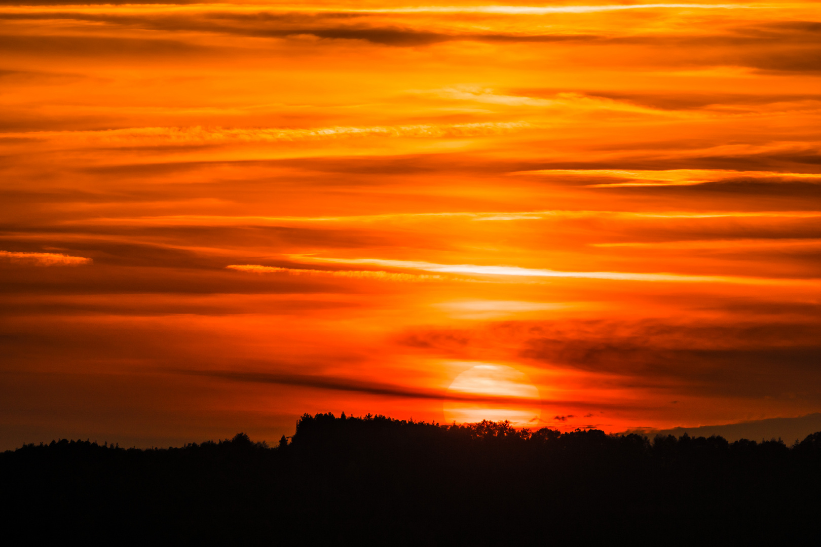 Sonnenuntergang im Pfälzerwald