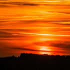 Sonnenuntergang im Pfälzerwald