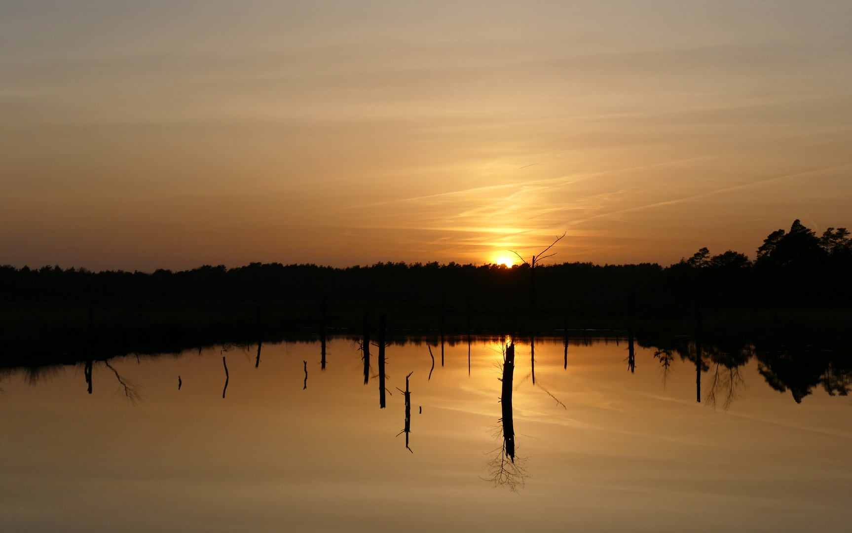 Sonnenuntergang im Pietzmoor