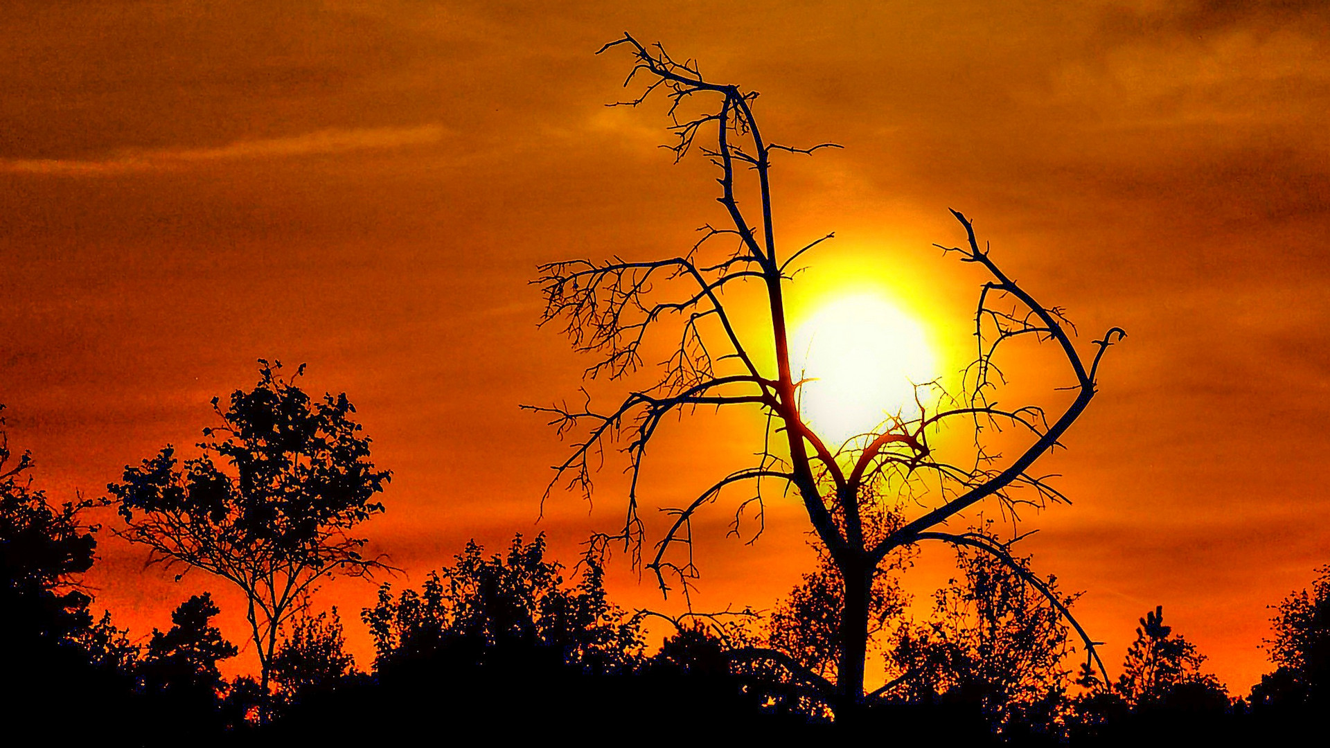 Sonnenuntergang im Pietzmoor